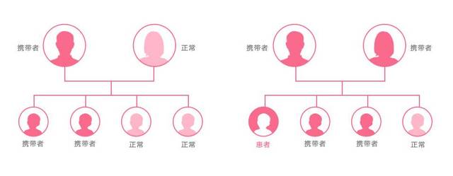 单基因遗传病之地中海贫血