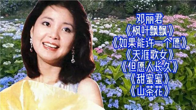 邓丽君经典歌曲枫叶飘飘天涯歌女甜蜜蜜等