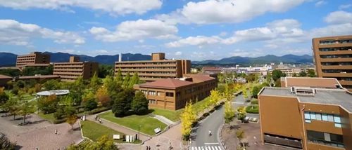 广岛大学