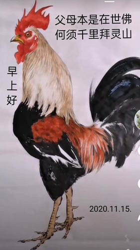 早上好