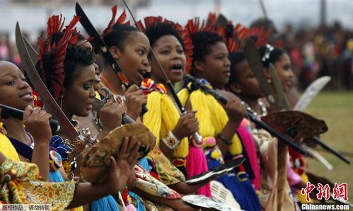 斯威士兰少女半裸参加国王选妃大会