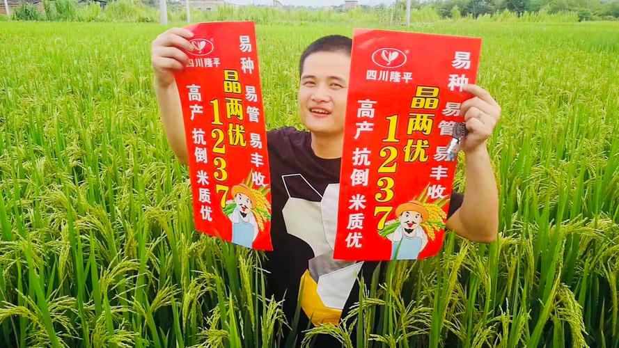 种口福稻,享口福!
