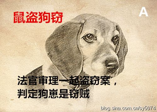 法官大怒:狗娘养的,鼠窃狗盗,谁不知晓!