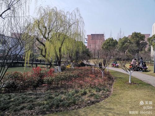游览上海宝山区的淞南公园