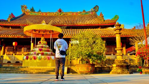 粤东第一古刹:开元镇国寺_景点_旅行_木雕_历史_开元寺_寺庙_人文景点