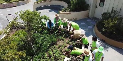 屋顶康复疗养花园