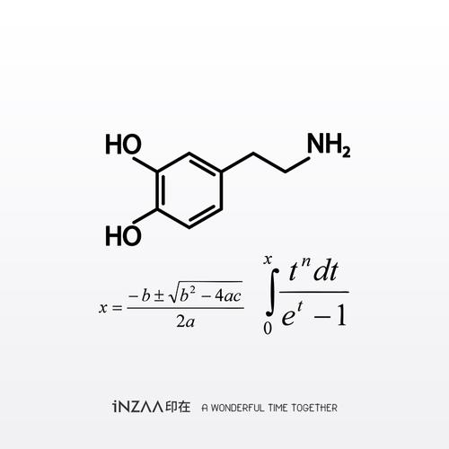 inzaa印在多巴胺纹身贴防水化学分子方程式黑白算数题目数学公式