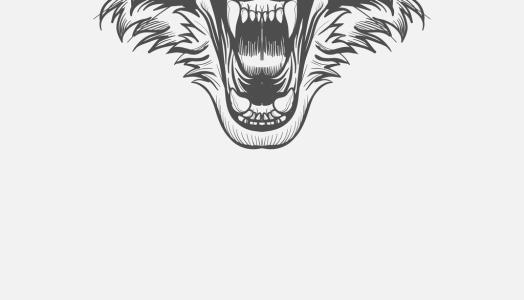 [图]手绘狼图片霸气图黑白狼图片霸气图炫酷黑白手绘图片简单创意