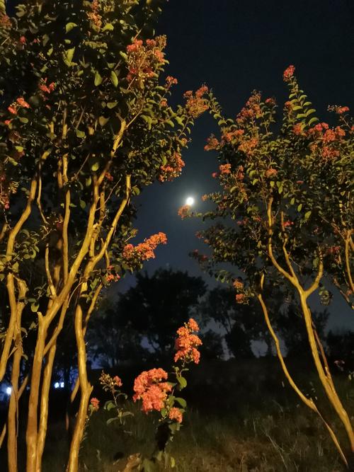 落月摇情满江树.