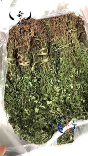 岩黄连周口野生岩黄连