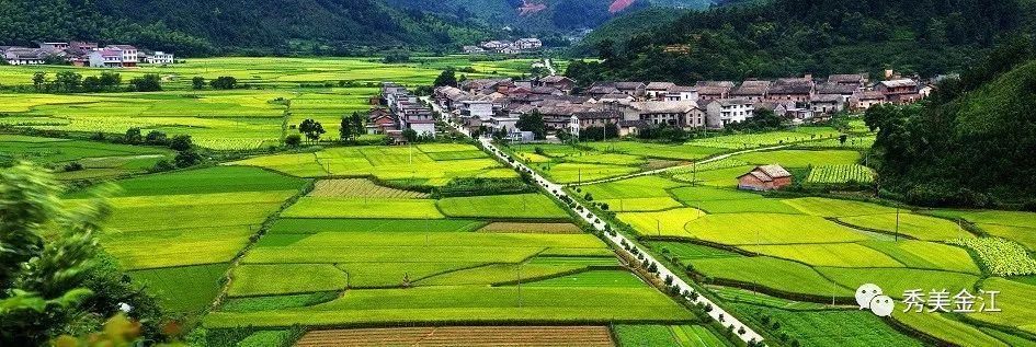 峡江·金江|赏万宝风光 采南丰蜜桔 品农家美食