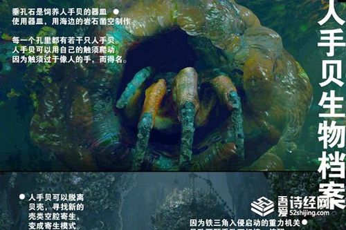 《重启之极海听雷》人手贝是否真的存在呢?人手贝原型