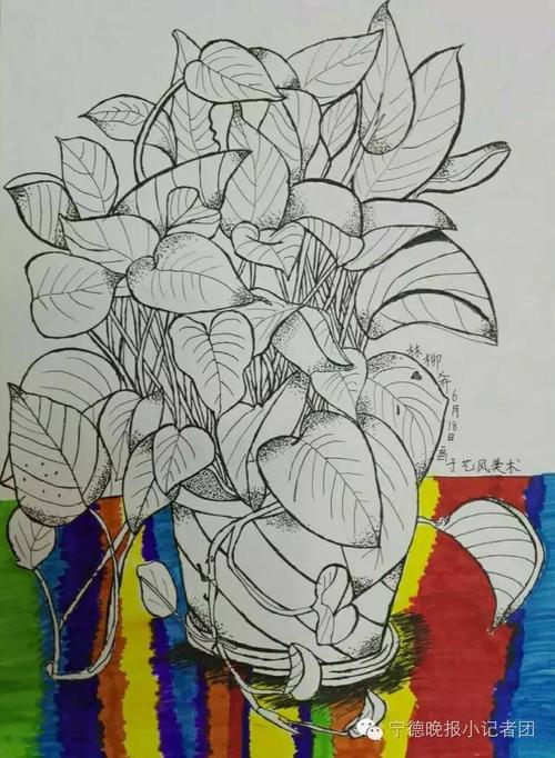 合作伙伴 i 艺风课堂,植物盆栽写生—绿萝