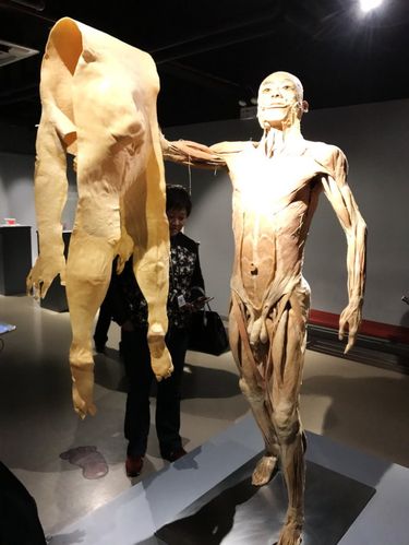 纤毫毕现的真人 " 木乃伊 "