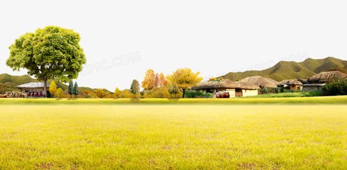 海南风光田园风景田园手绘田园田园风田园风光pngai手绘田园风光pngai