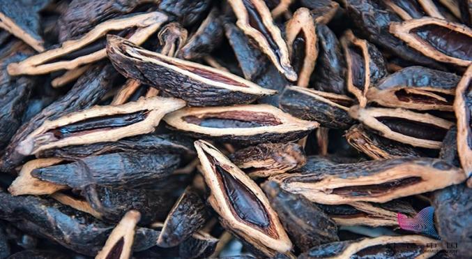 不让毒品进我家 | 槟榔被该国认定为毒品,切勿携带入境!