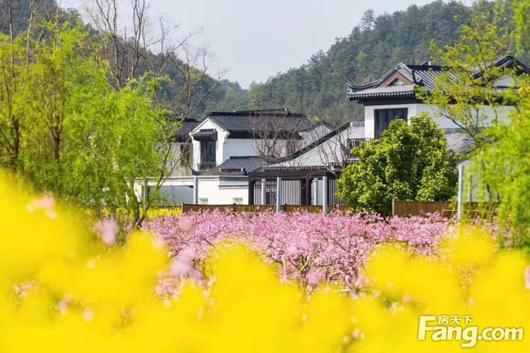 蓝城两江·田园牧歌怎么样?看置业顾问罗万容发布了一条项目新消息!