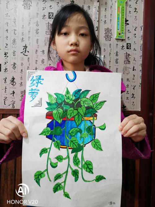 2020/11/07-08黑白画室初级三班【写生——绿萝】辅导