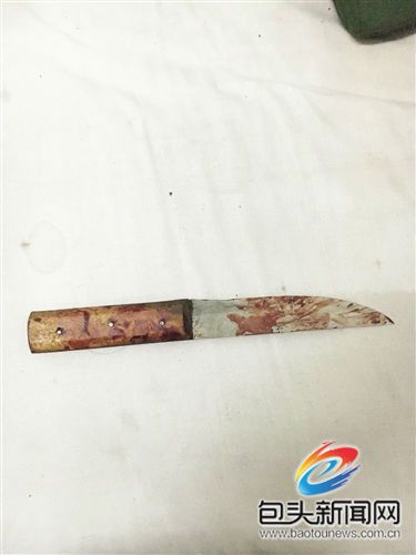 眼的沈某某此时已经不知道自己在干什么,只是全力挥动着带血的水果刀
