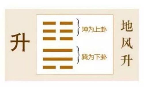 地风升升卦上坤为地下巽为风