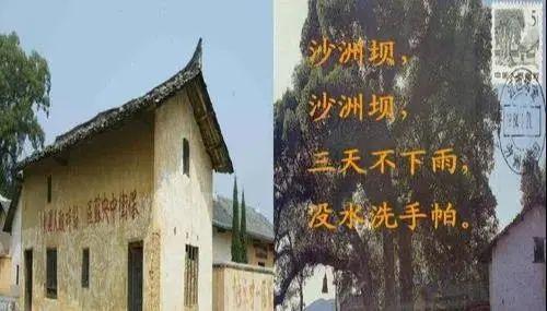 福娃讲红色故事|第四讲《吃水不忘挖井人》|沙洲坝|水井_网易订阅