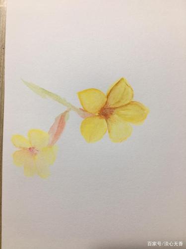 手绘美丽的迎春花