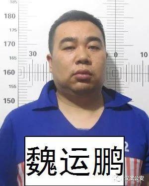 最高奖20万!安康警方再次征集来宝卫,魏运鹏等人违法犯罪线索!