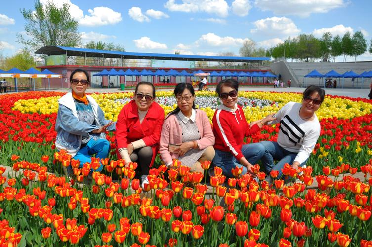 游青格达湖 赏郁金香花