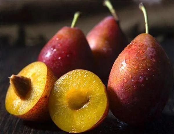 西梅的功效与作用,西梅是热性还是凉性|水果|膳食纤维