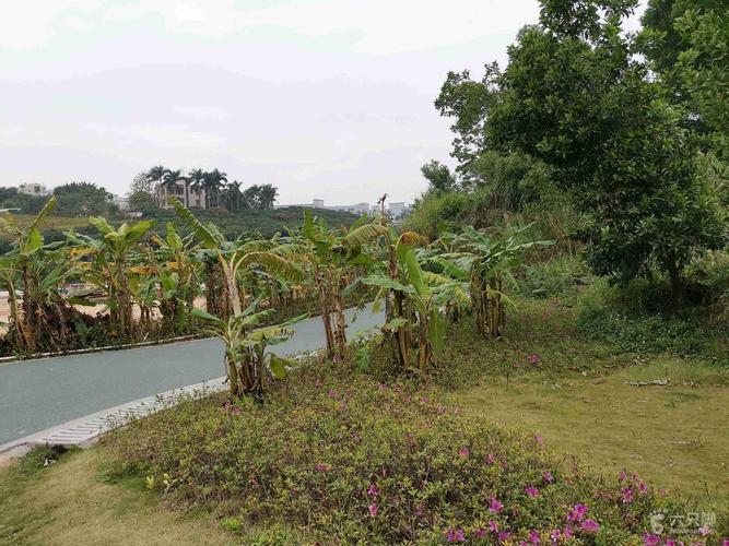龙华环城绿道大水坑段