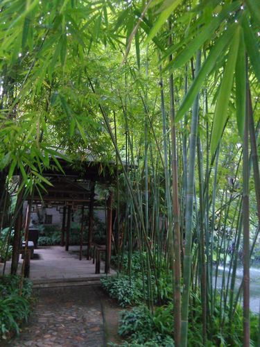 佛山梁园(汾江草庐篇)