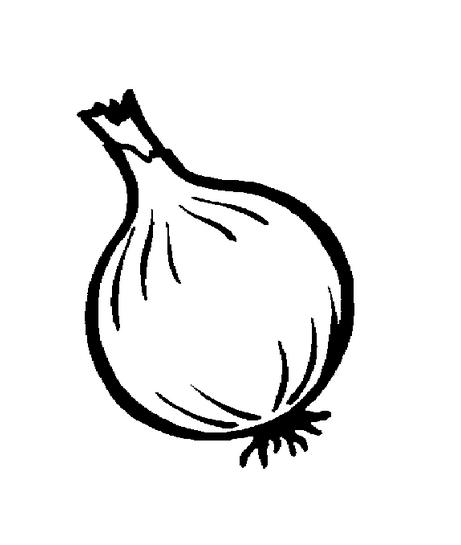 画洋葱简笔画