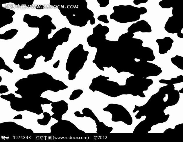 艺术背景 黑白色的花斑 斑纹