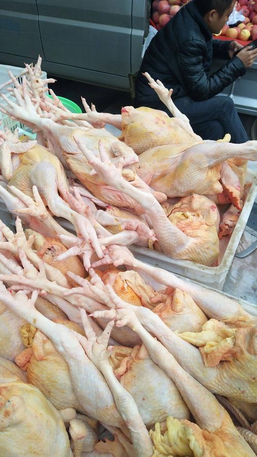 品种名:白条鸡 品种名:白条鸡 货品类别:新鲜 保质期:2-3个