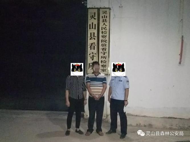 2019年9月24日0点,滥伐林木罪犯罪嫌疑人滕某被送进灵山县看守所.
