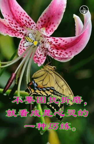 送给不离不弃的好朋友!