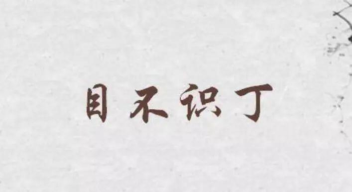 源来如此目不识丁
