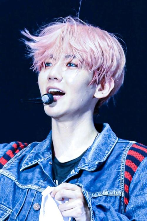 边伯贤演唱会现场照