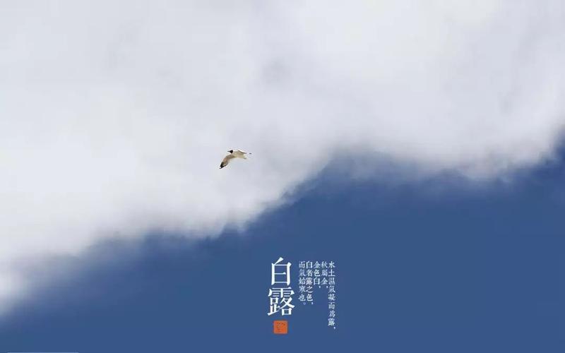 3,非心为悲,宁心缓之