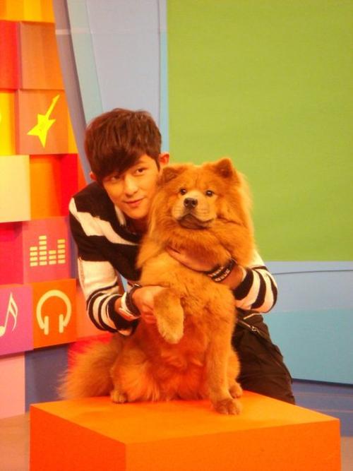 敖犬之我爱lolly