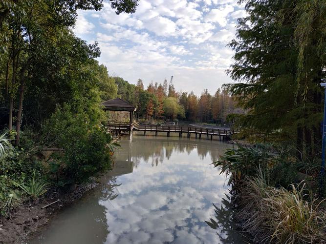 浦江森林公园(18/12/12)