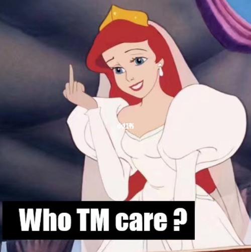 迪士尼公主表情包分享78_迪士尼公主_迪士尼怎么样