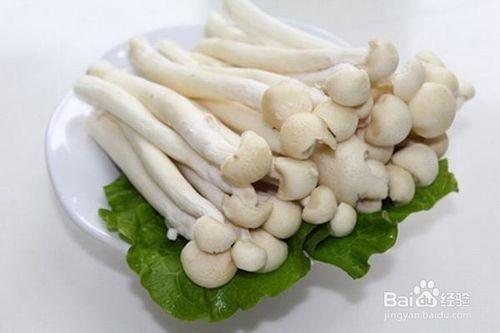 多吃蘑菇好处多