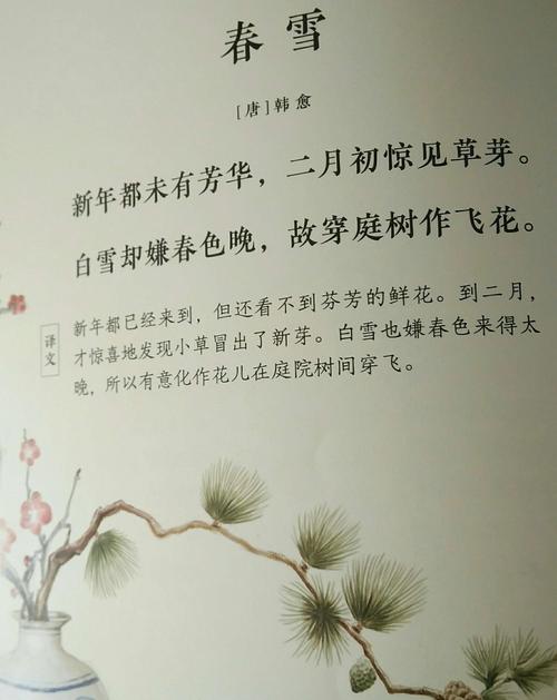 今天学习相关古诗《春雪》〔唐.韩愈