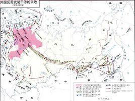 苏俄内战