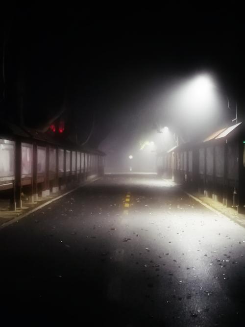 秋雨夜—裕西公园