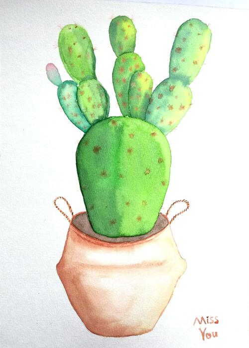 仙人掌水彩|插画|创作习作|小萌水彩 - 临摹作品 - 站酷 (zcool)