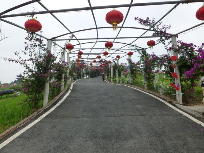 宜宾 西部农庄四季花海一日游