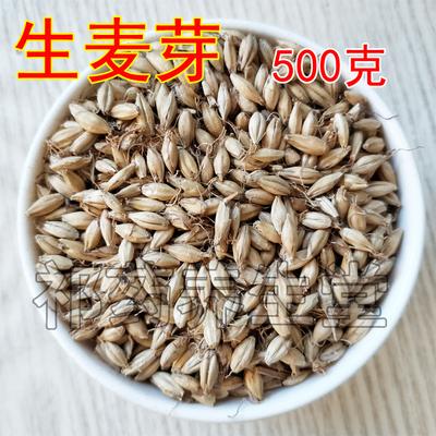 生麦芽500克 大麦芽 大麦毛另有炒麦芽熟麦芽