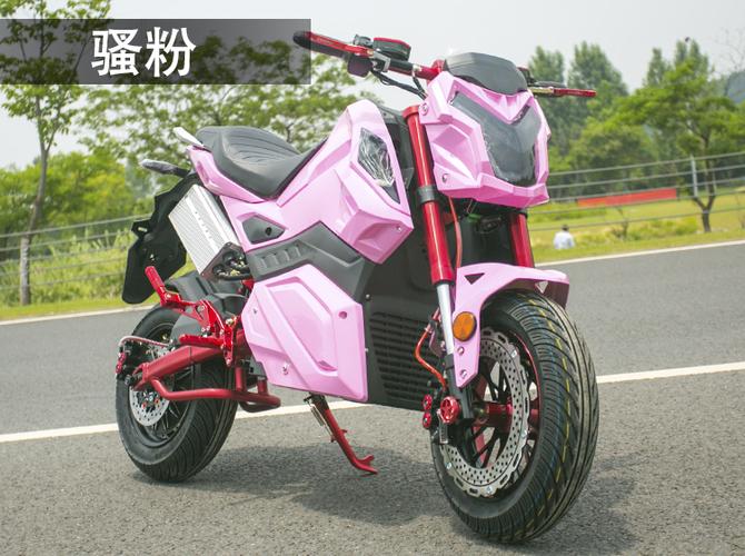 z6电动车m35电动摩托车72v电瓶车96v高速电摩双人改装跑车小电猴极速